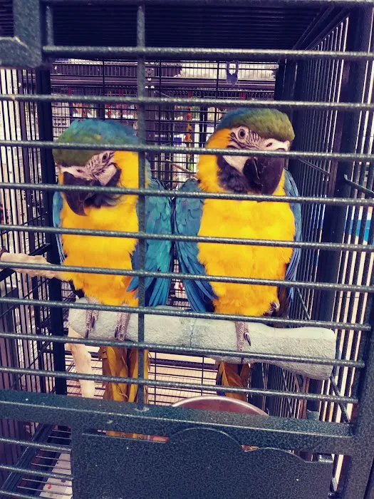 Petland Albuquerque 10