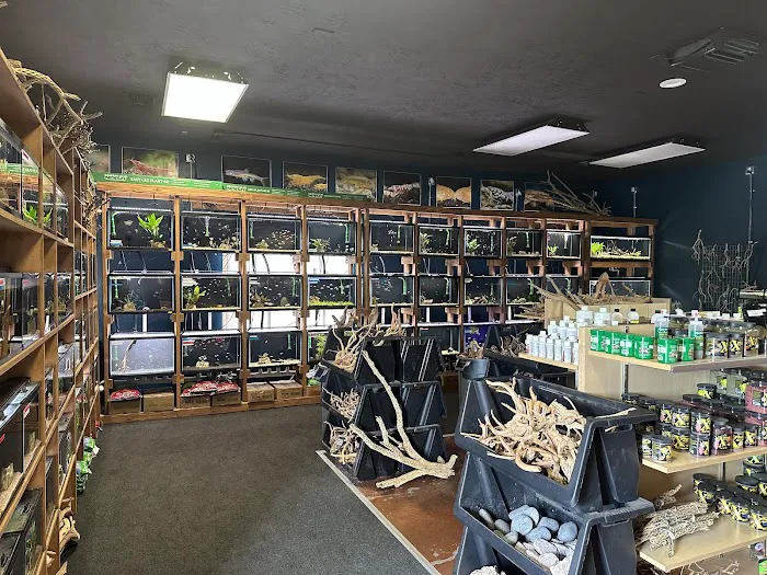The Fish Room 3
