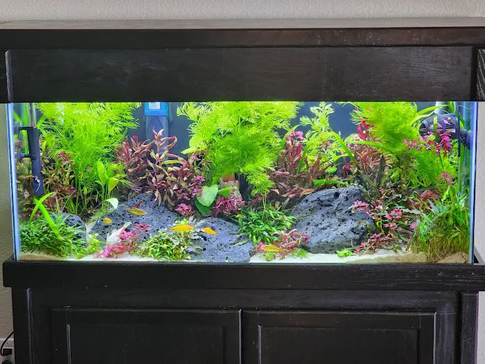 The Fish Room 1