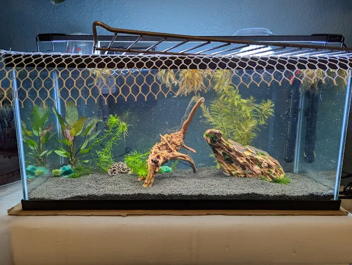 The Fish Room 7