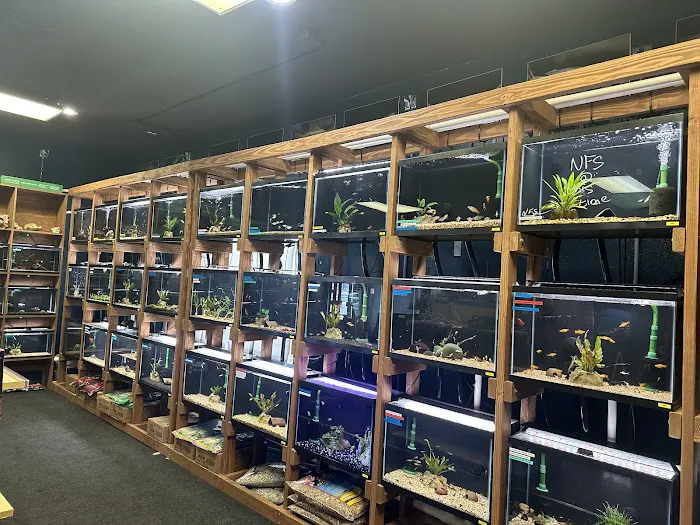 The Fish Room 6