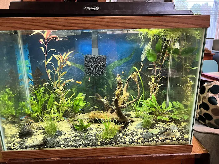 The Fish Room 4