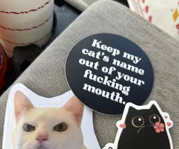 Bark n Meow