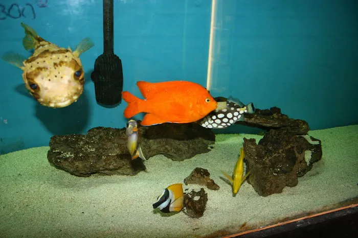 Tropical Kingdom 3