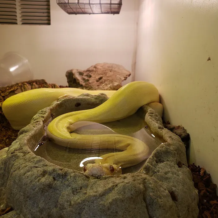 Tropical Kingdom 9