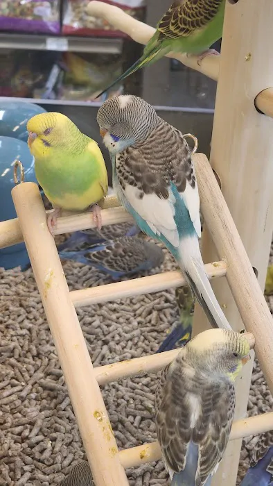 Petco 1