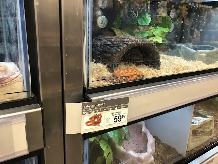 Petco 8