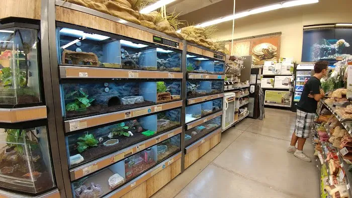 Petco 10