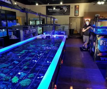 Fishy Bizness