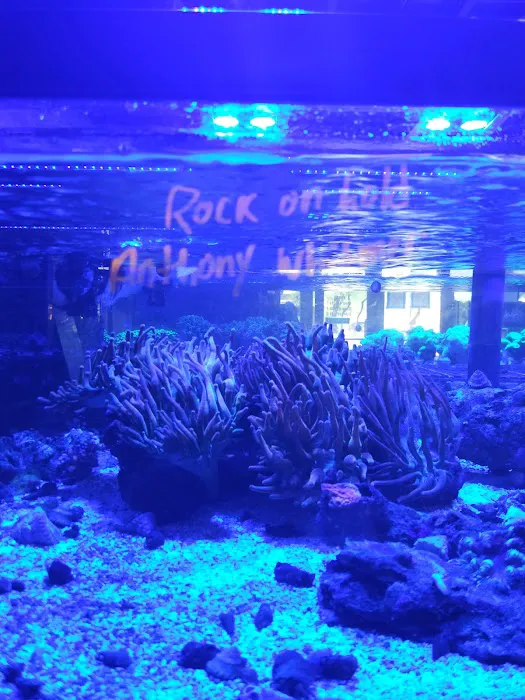 Fishy Bizness 7