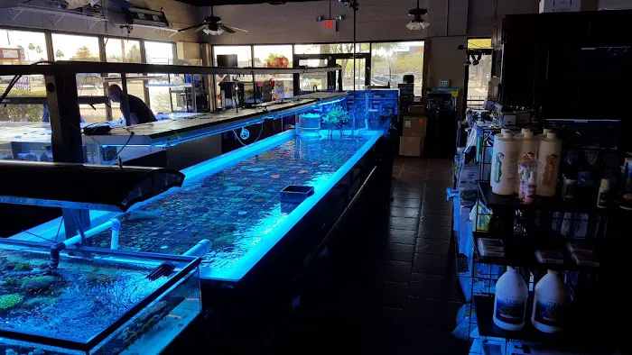 Fishy Bizness 4