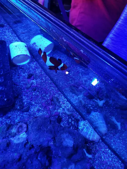 Fishy Bizness 5