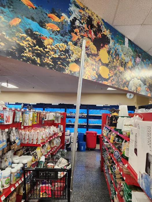 Petco 3