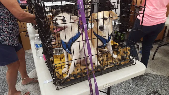 Petco 6