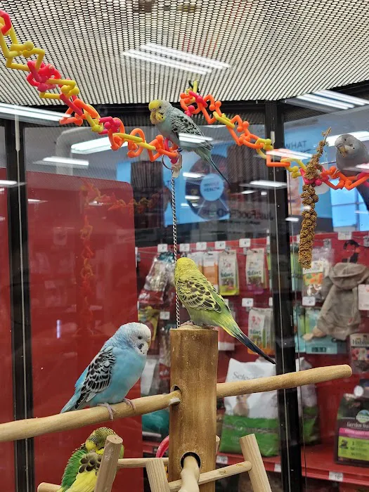 Petco 2