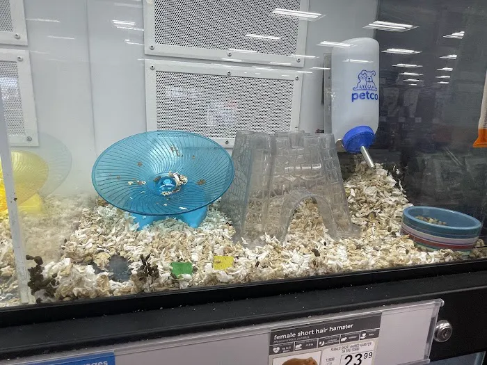 Petco 10
