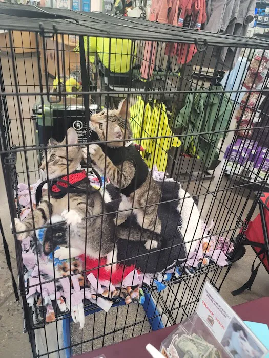Petco 3