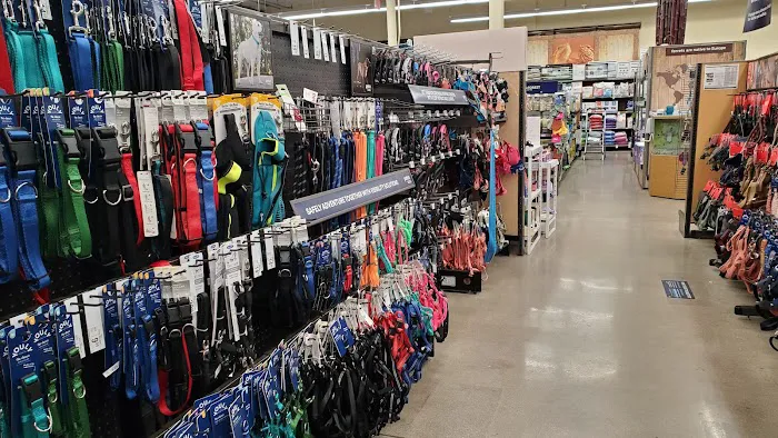 Petco 7