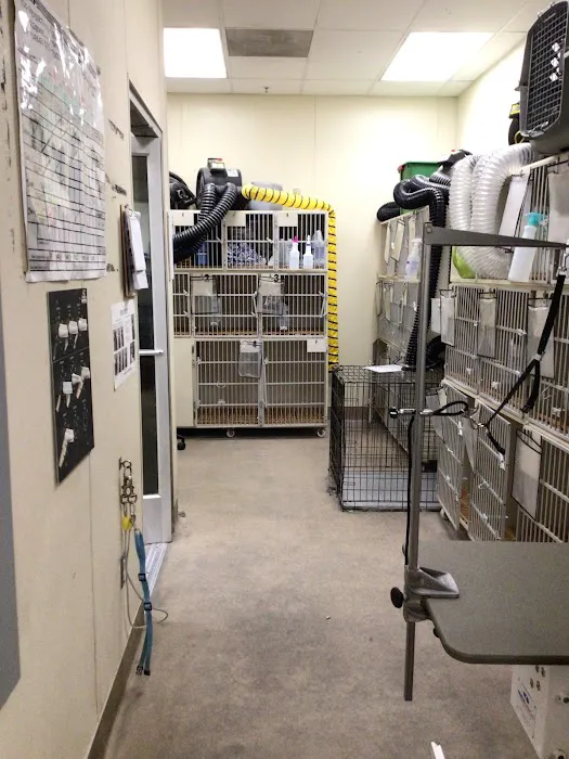 Petco 4
