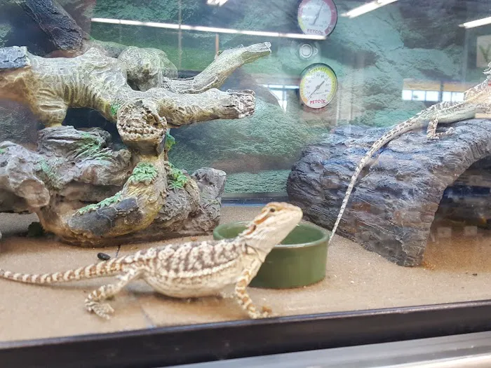 Petco 9