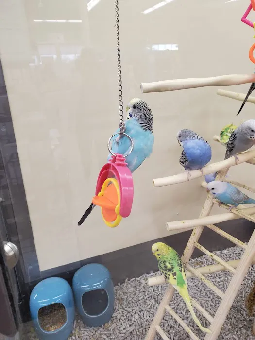 Petco 6