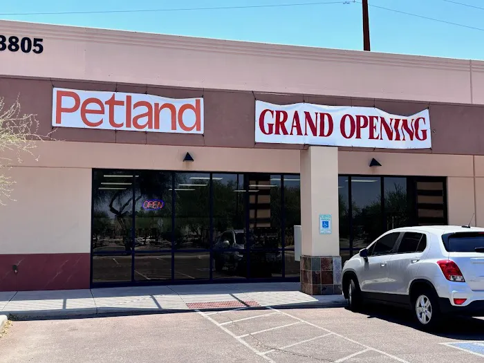 Petland Tucson 2