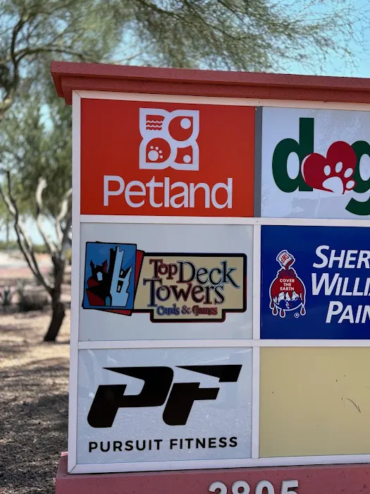 Petland Tucson 6