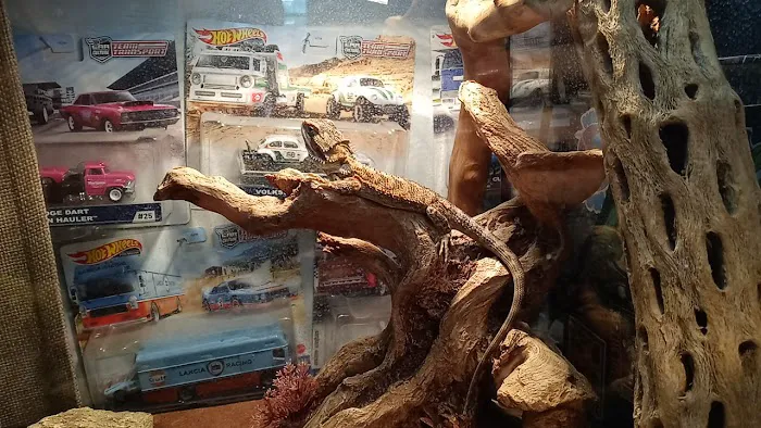 Ever Evolving Exotics 4