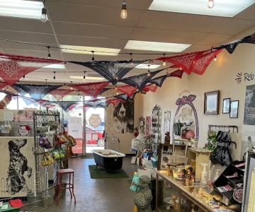 Rosie's Barket DIY Dog Wash OV