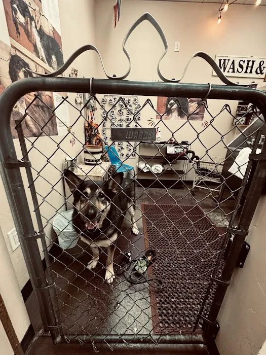 Rosie's Barket DIY Dog Wash OV 4