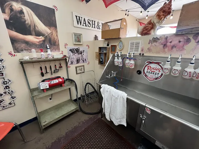 Rosie's Barket DIY Dog Wash OV 8