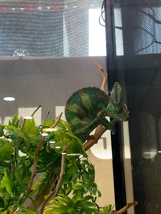 Cold Blooded Exotics 2
