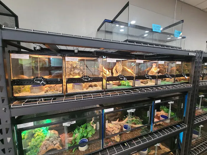 Cold Blooded Exotics 1