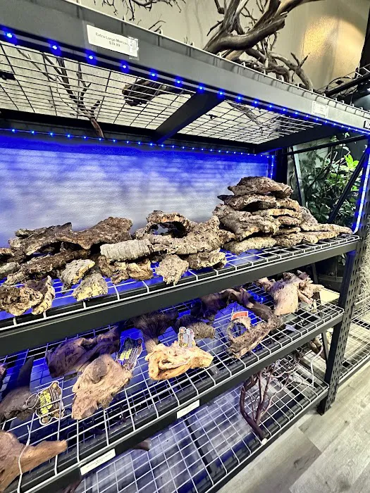 Cold Blooded Exotics 6
