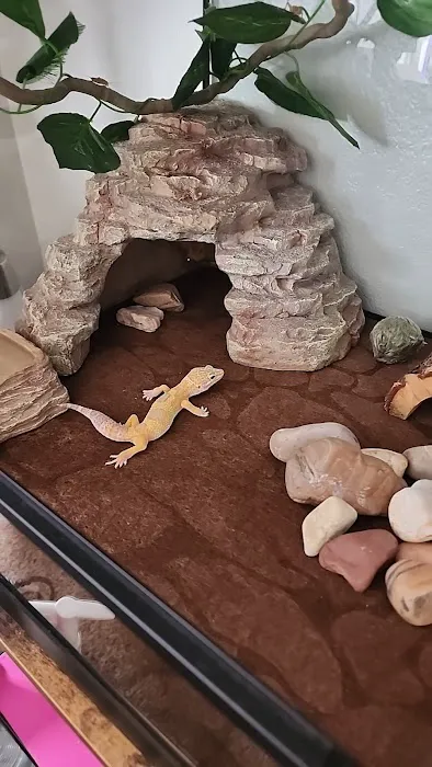 Cold Blooded Exotics 4