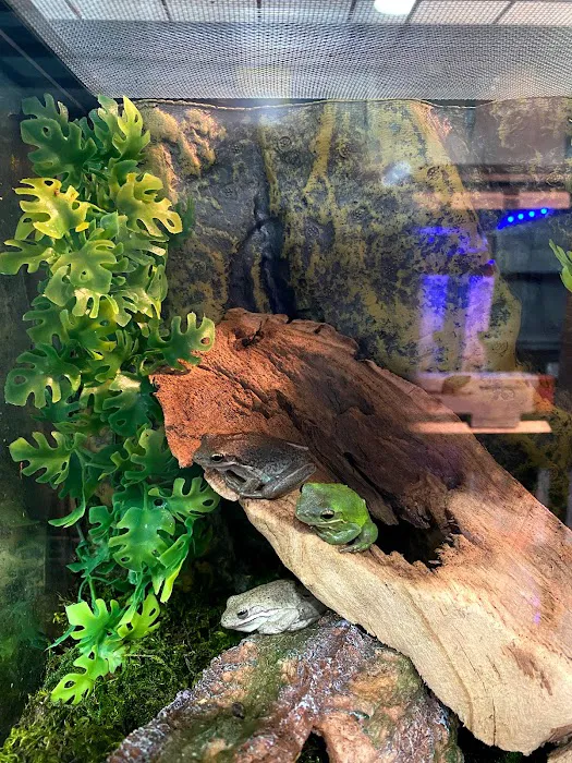 Cold Blooded Exotics 7