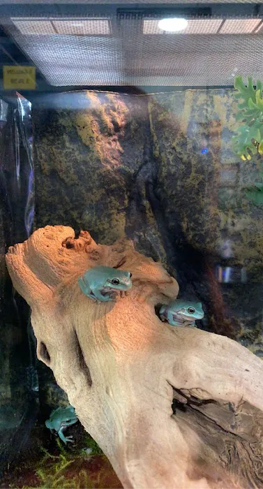 Cold Blooded Exotics 10