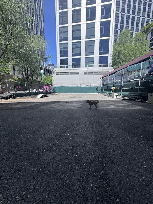 Tribeca Dog Run 3