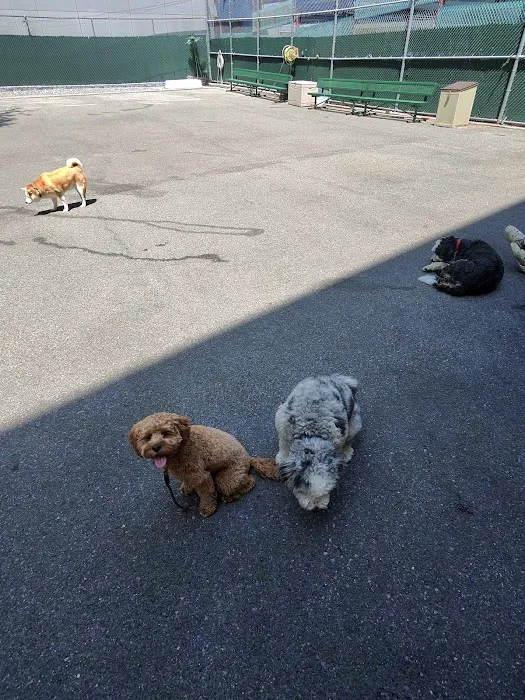 Tribeca Dog Run 1