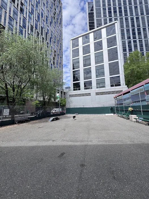 Tribeca Dog Run 7