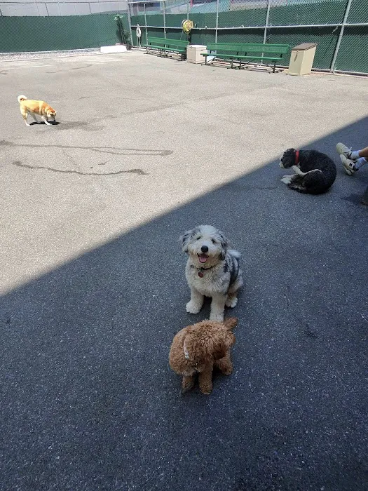 Tribeca Dog Run 10