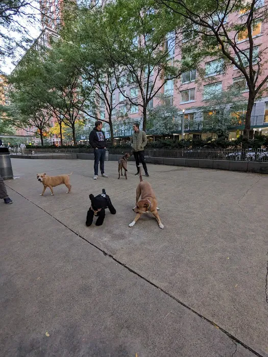 North End Dog Run 3