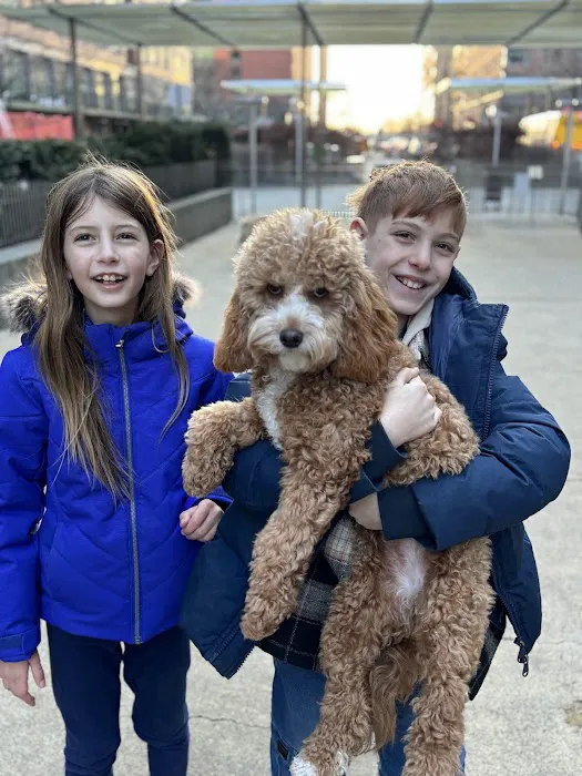 North End Dog Run 6