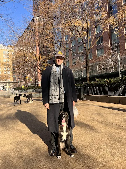North End Dog Run 10