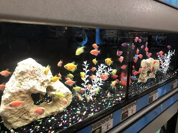 Petco 8