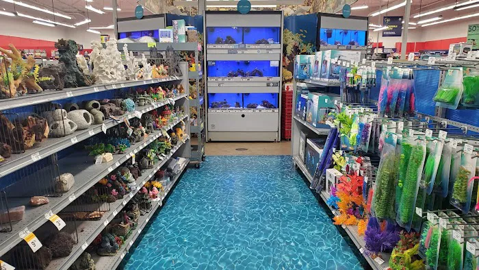 Petco 10