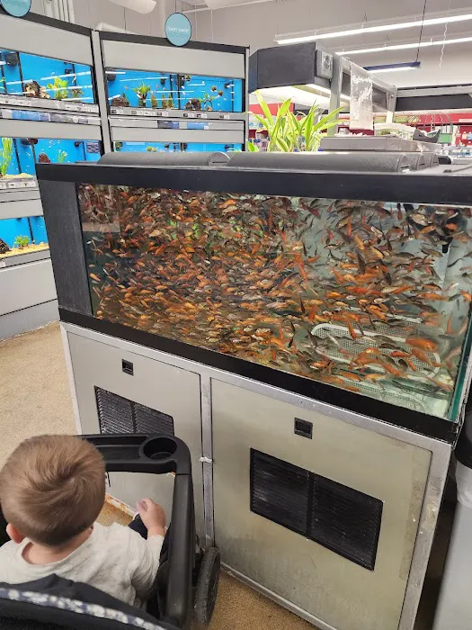 Petco 9