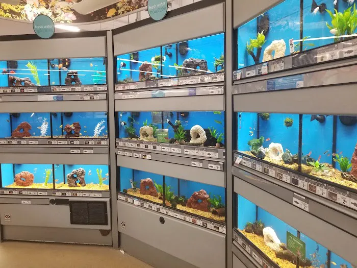 Petco 5