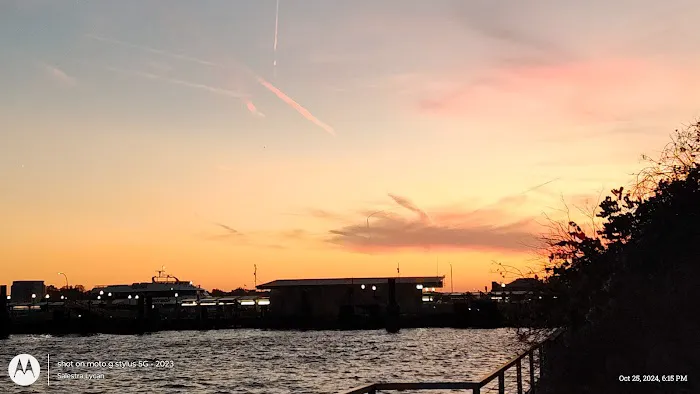 Dog Park East River Esplanade South 6