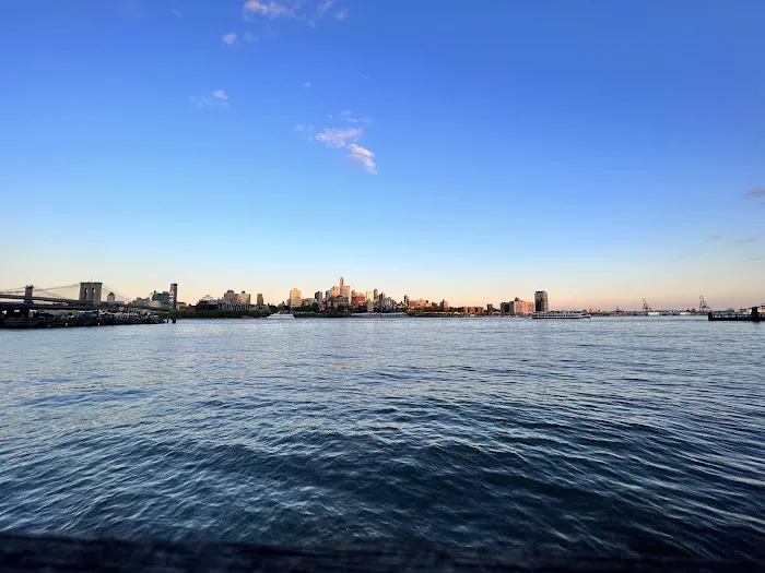 Dog Park East River Esplanade South 8